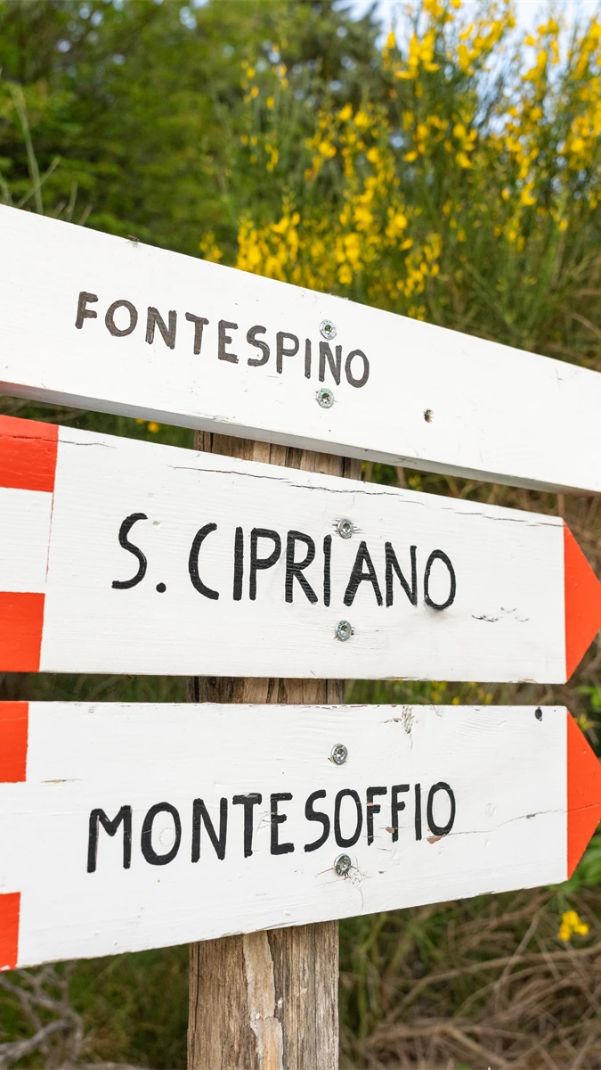 Passeggiata rigenerante nel bosco