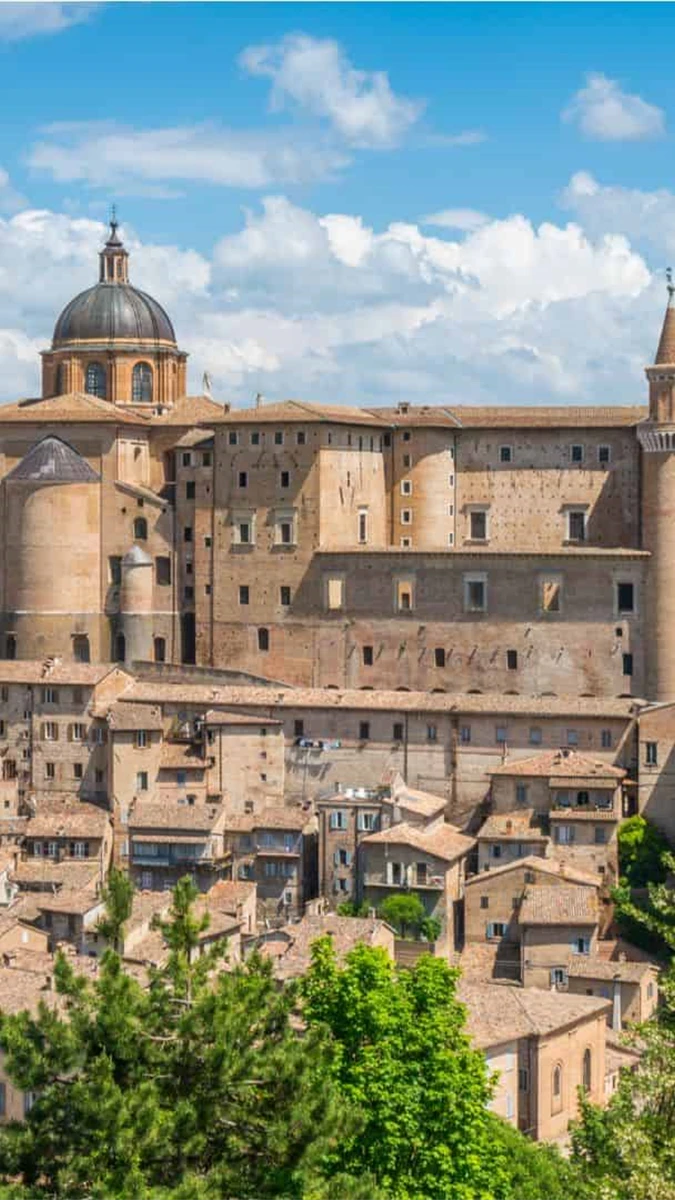 Truffles and Guided Cycling Tour